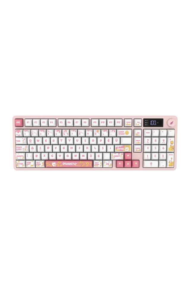 HAWK GAMING HK258WP KABLOSUZ BEYAZ PEMBE KLAVYE